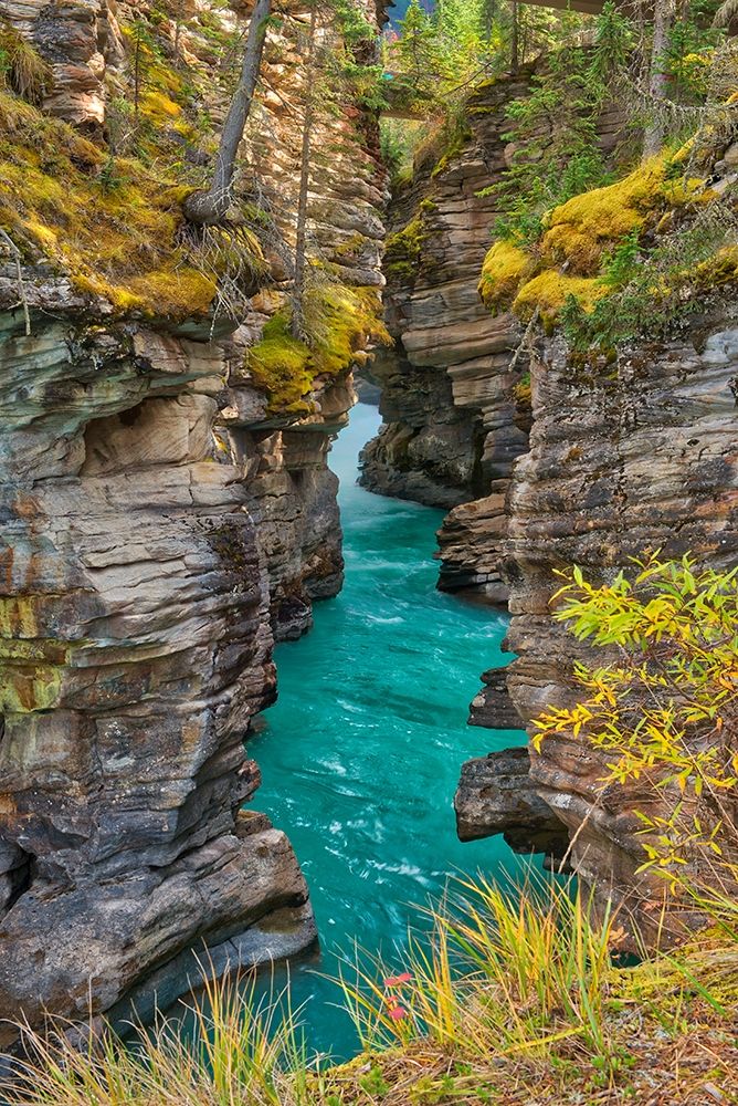 Canada-Alberta-Jasper National Park Athabasca River at Athabasca Falls